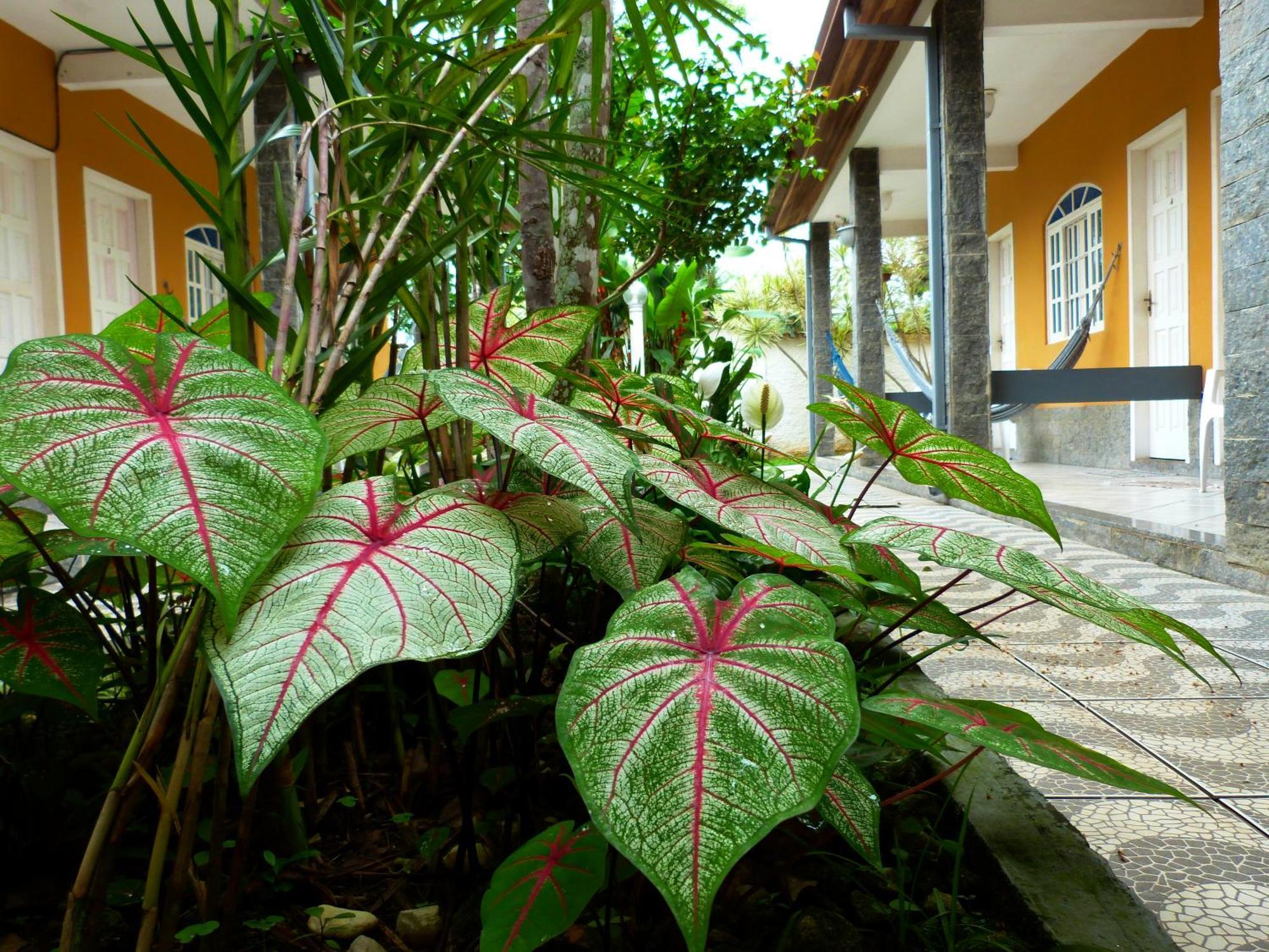 Villa Do Sonho Pousada Hotel Parati Extérieur photo